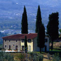 Poggio Desto